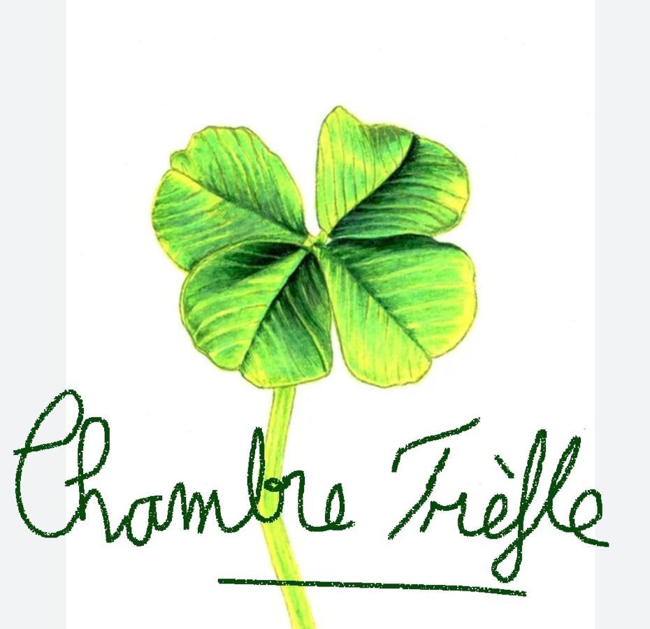 Chambre Trefle Entremont Ngoại thất bức ảnh
